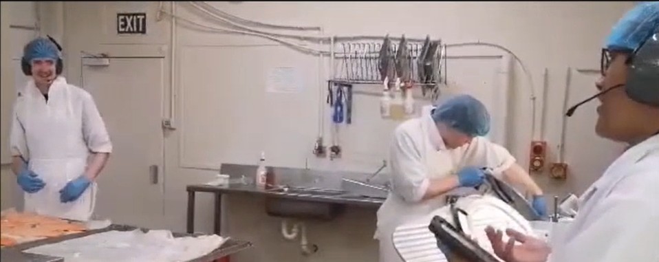 Learners in a practical environment using tablets